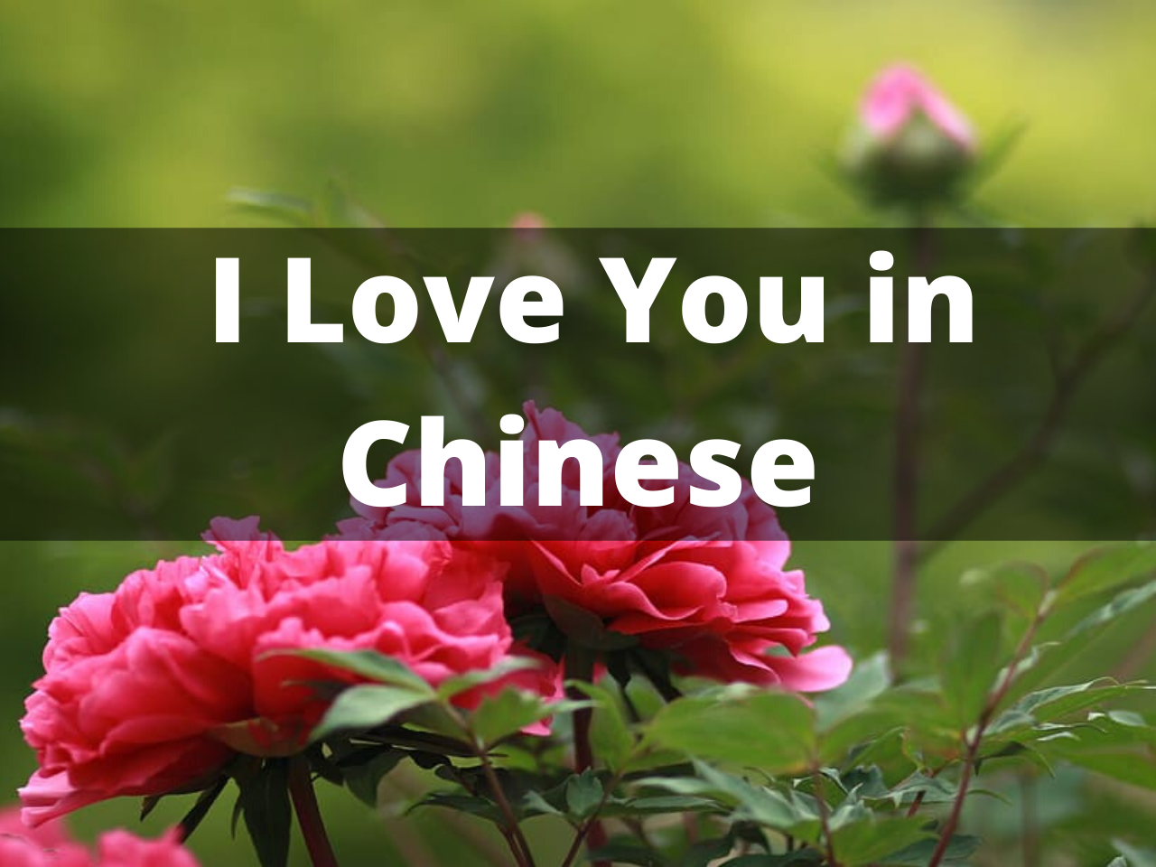 How To actually Say I Love You In Chinese Du Chinese Blog