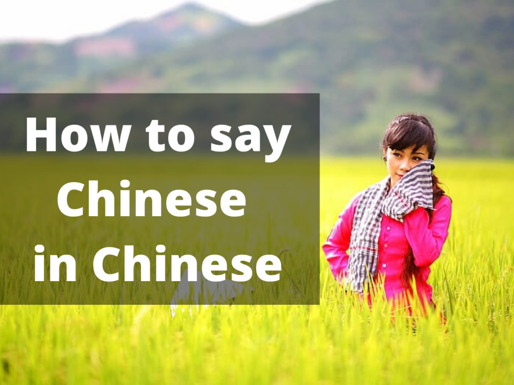 How to say Chinese in Chinese Du Chinese Blog