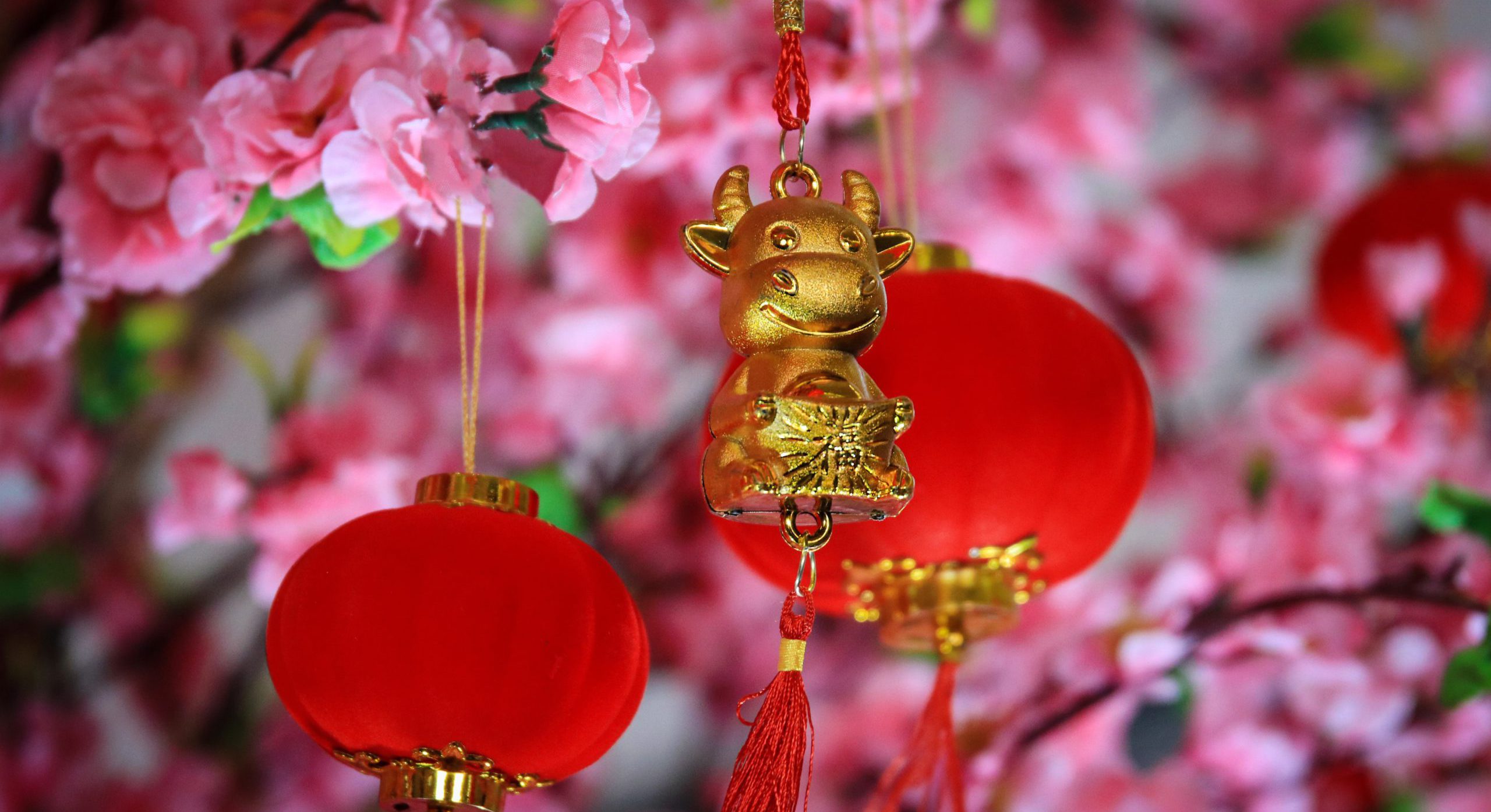 Chinese new year: your guide to everything from importance of the